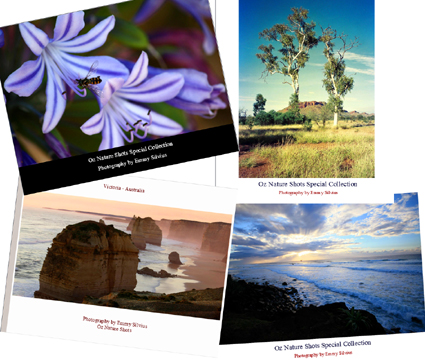 https://oznatureshots.com/wp-content/uploads/2012/03/photobookversions_websize_small.jpg