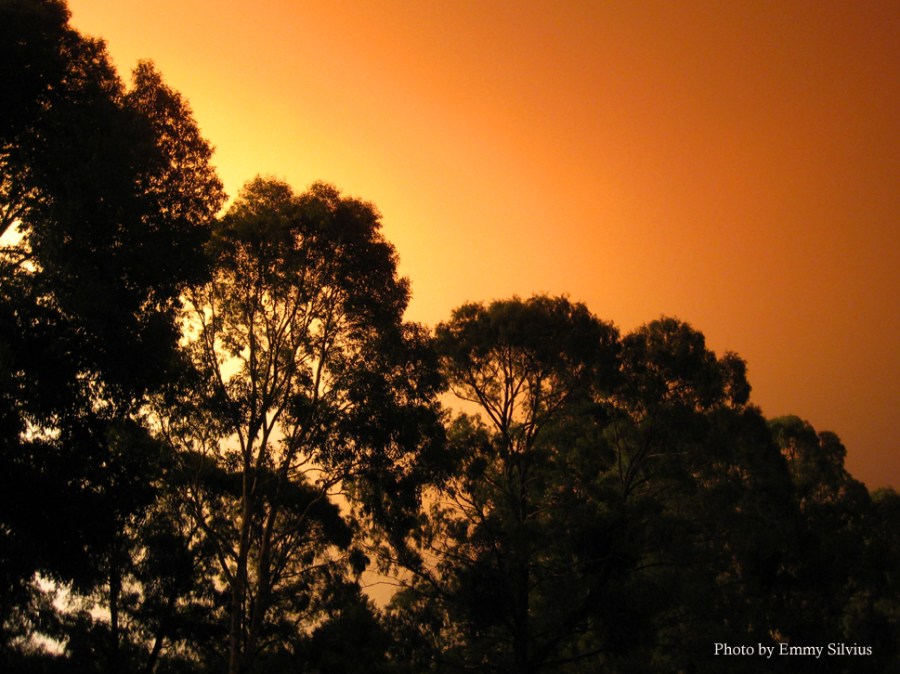 East Gippsland Fires 2014, Cann River, Emergency Relief Centre Cann River Victoria, Victoria, Australia, photos, oz nature shots, Emmy Silvius