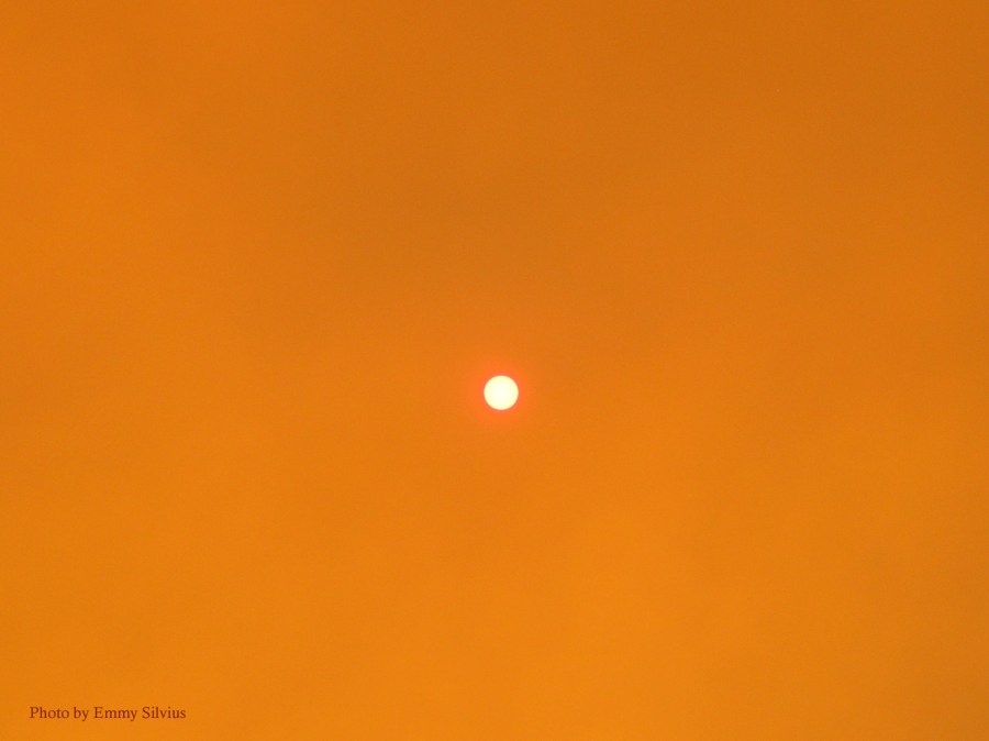 East Gippsland Fires 2014, Cann River, Emergency Relief Centre Cann River Victoria, Victoria, Australia, photos, oz nature shots, Emmy Silvius