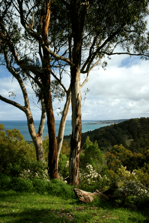 great ocean road victoria, victoria, sea, Skenes Creek, landscape, nature, Australia, photo, photography, oz nature shots, Emmy Silvius