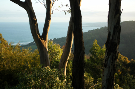great ocean road victoria, Skenes Creek, victoria, sea, sunset, landscape, nature, Australia, photo, photography, oz nature shots, Emmy Silvius