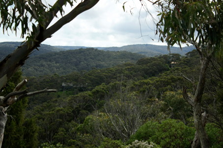 Lorne victoria, victoria, hills, trees, landscape, nature, Australia, photo, photography, oz nature shots, Emmy Silvius