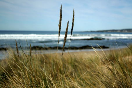 great ocean road victoria, skenes creek, victoria, sea, landscape, nature, Australia, photo, photography, oz nature shots, Emmy Silvius