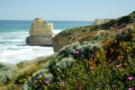great ocean road victoria, victoria, sea, coast, landscape, nature, Australia, photo, photography, oz nature shots, Emmy Silvius