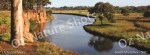 mug, drinking mug, south werribee, werribee river, river, werribee, landscape, nature, Australia, photo, photography, oz nature shots, Emmy Silvius
