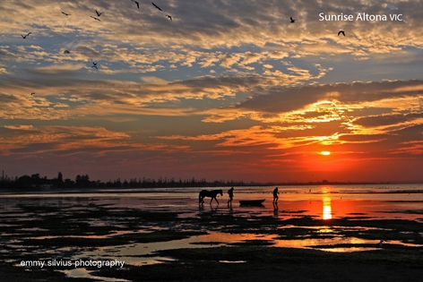 Sunrise Altona - Vic