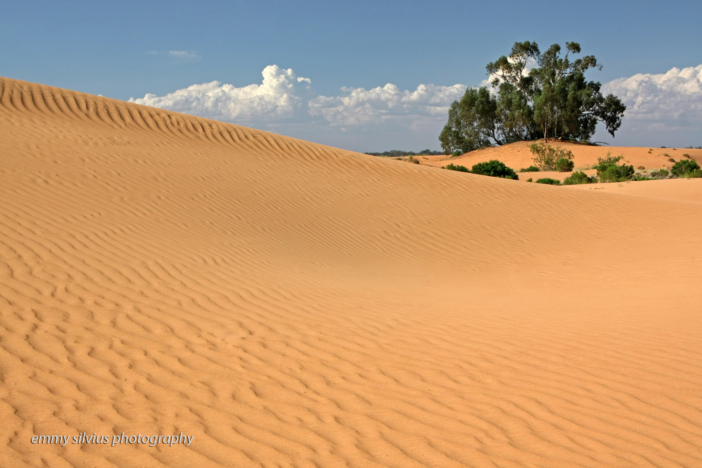 PerrySandhills_NSW_111015_0033_crs