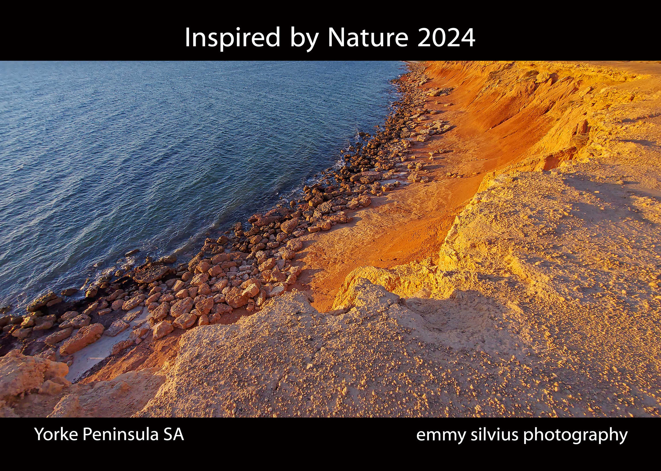 2024_CoverWithBlackBorder_RGBs