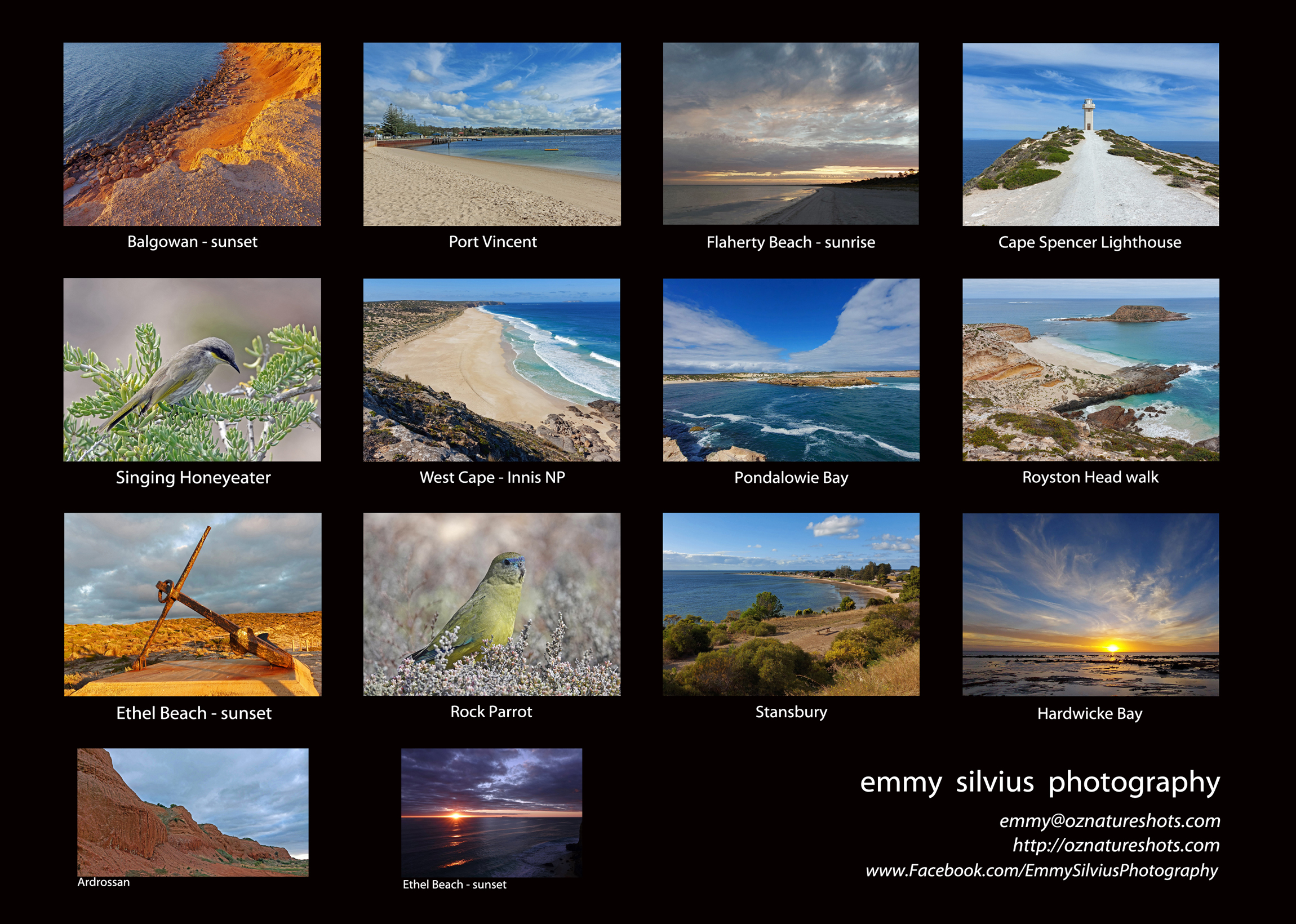 Back_Page_Thumbnails_s